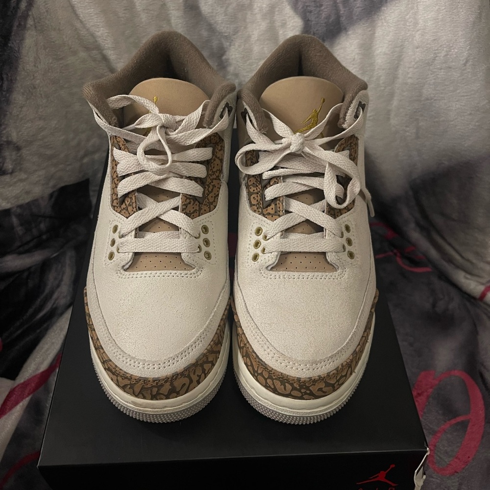 Jordan 3’s